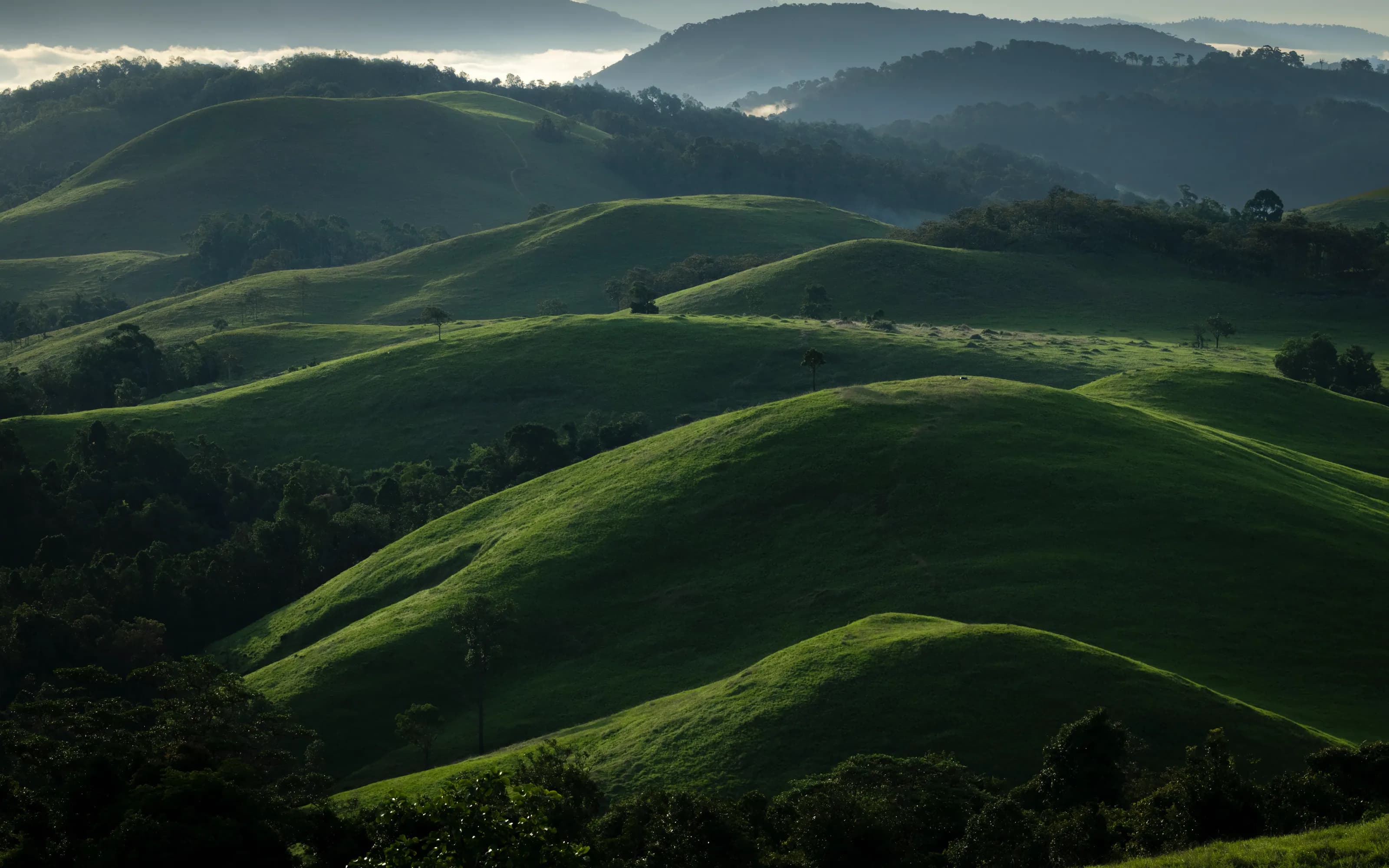 The rolling grasslands of Veal Thom, Ratanakiri, in late light