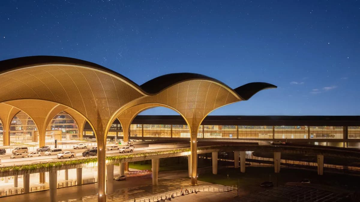 Tree-shaped canopies lit at night