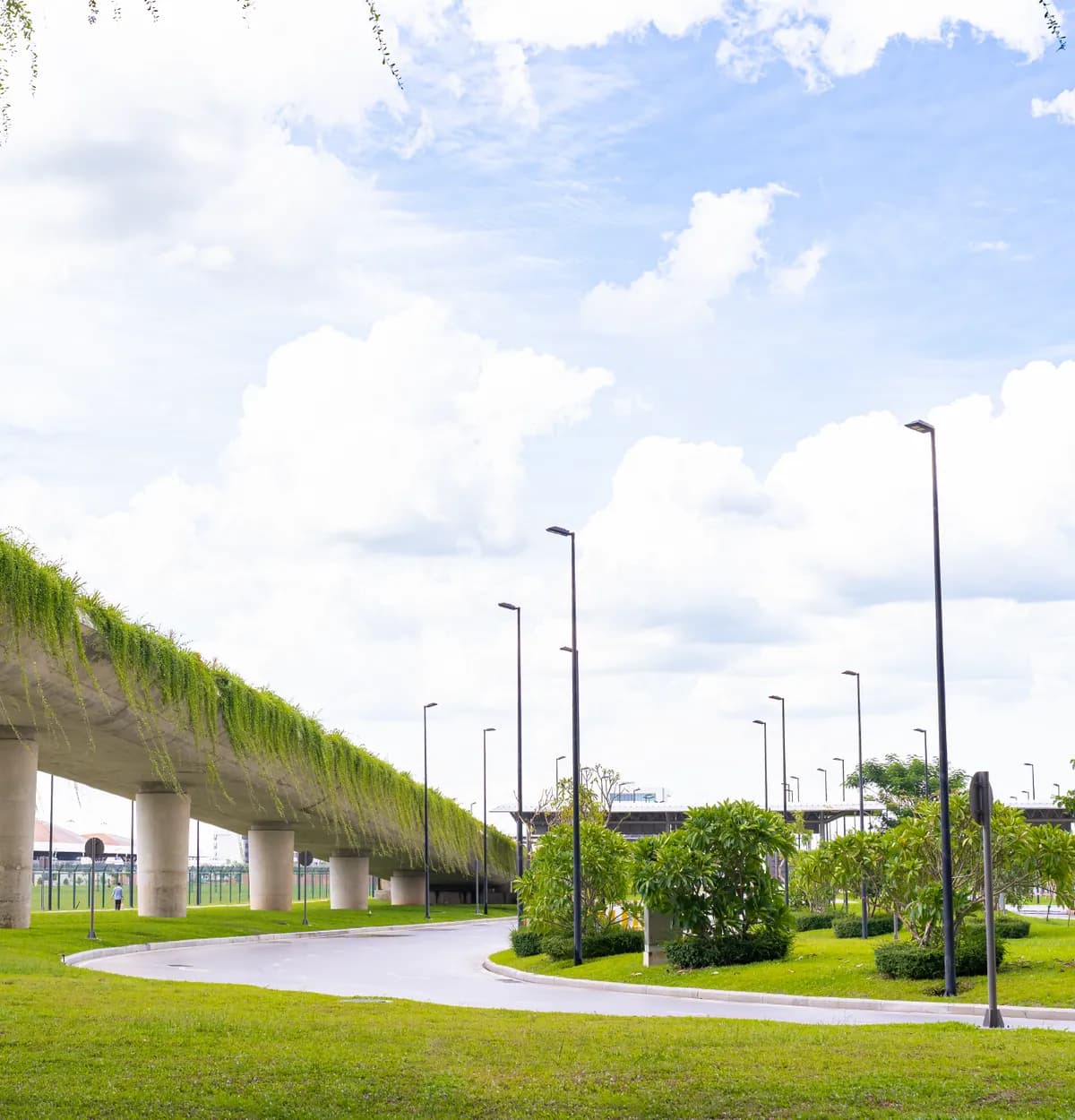 A planted, elevated roadway above lawns and young trees