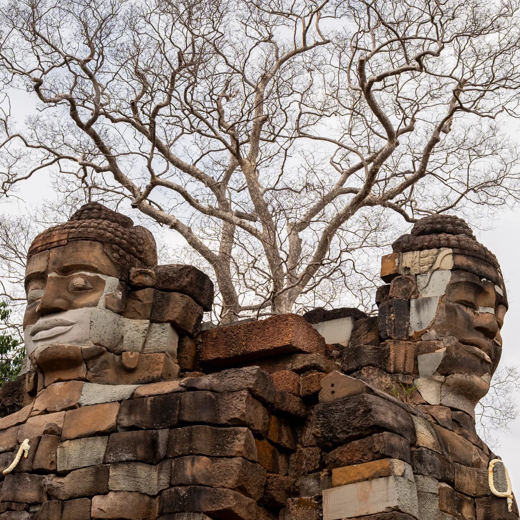 Two carved stone faces on a crumbling temple gate, beneath the bare branches of a tree