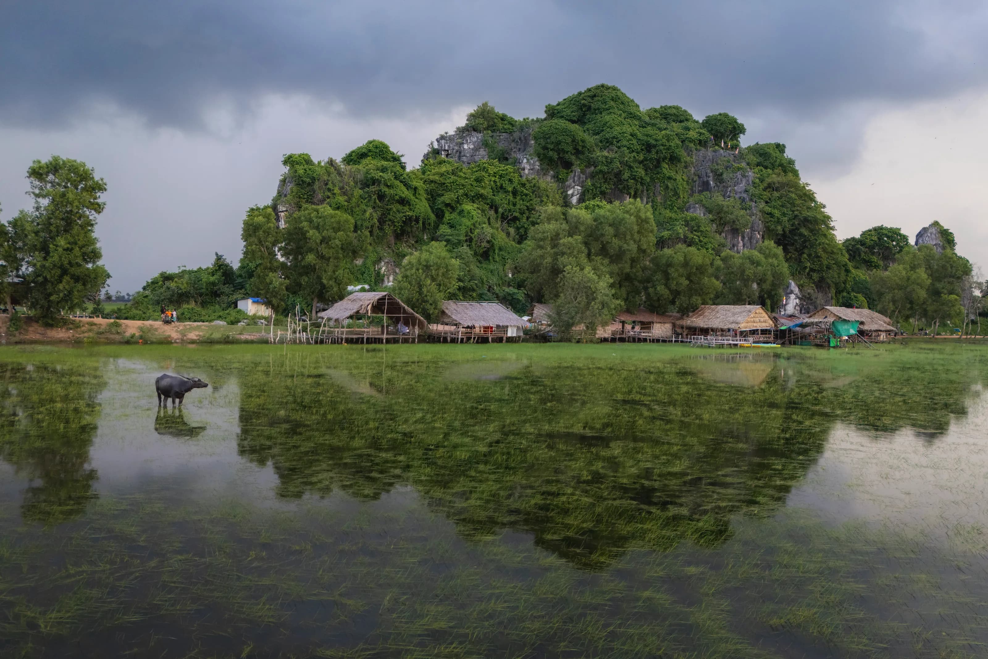 A water buffalo standing in a flooded field in Kampot, reflected in the water, before thatched stilt houses and a forested limestone hill under a stormy sky